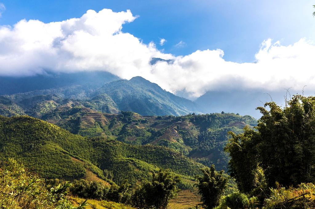 Lush green rice terraces of Bali under blue skies