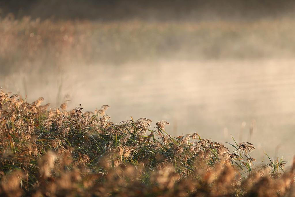 Breathtaking autumn landscape with a glass cabin in the mountains