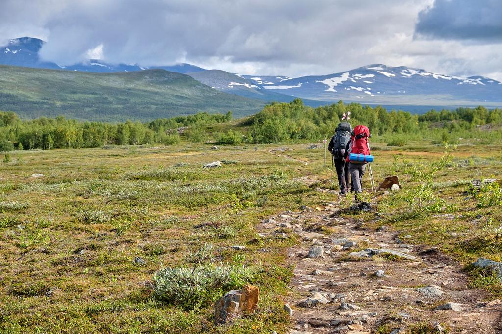 Couple hiking in a lush green forest under sun rays