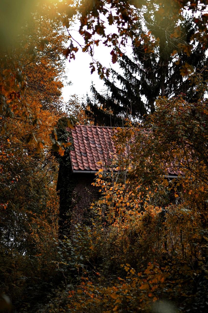 Cozy cabin in the Swiss Alps surrounded by autumn pine trees