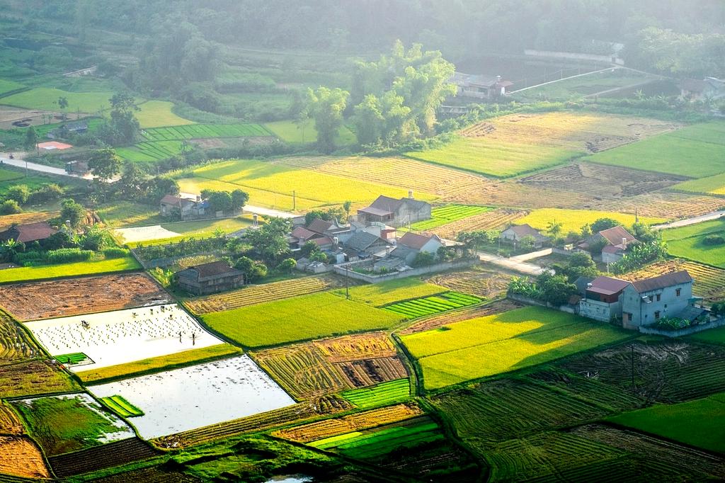 Jane Doe, Founder and CEO